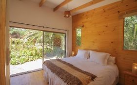Cabañas en la naturaleza a pasos de la Playa